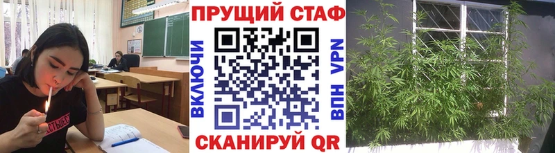 Купить закладку Бошки Шишки  Меф мяу мяу  ГАШ  Владивосток