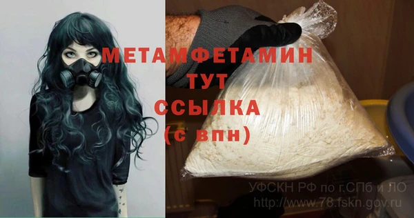 мдпв Гусь-Хрустальный