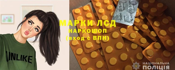 apvp Гусев