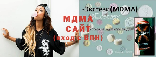 apvp Гусев