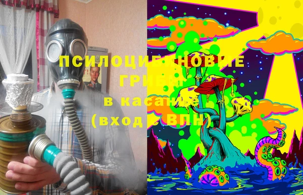 мдпв Гусь-Хрустальный