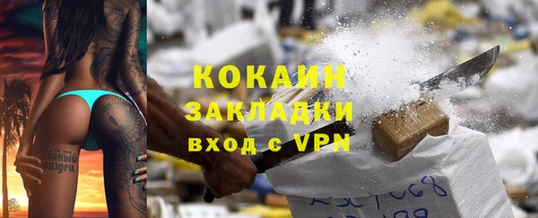 apvp Гусев