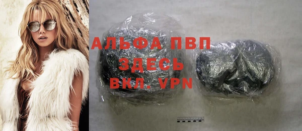 apvp Гусев