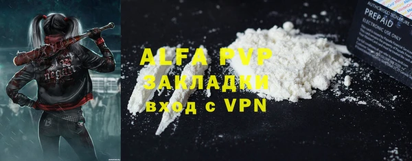 apvp Гусев