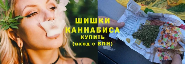 apvp Гусев